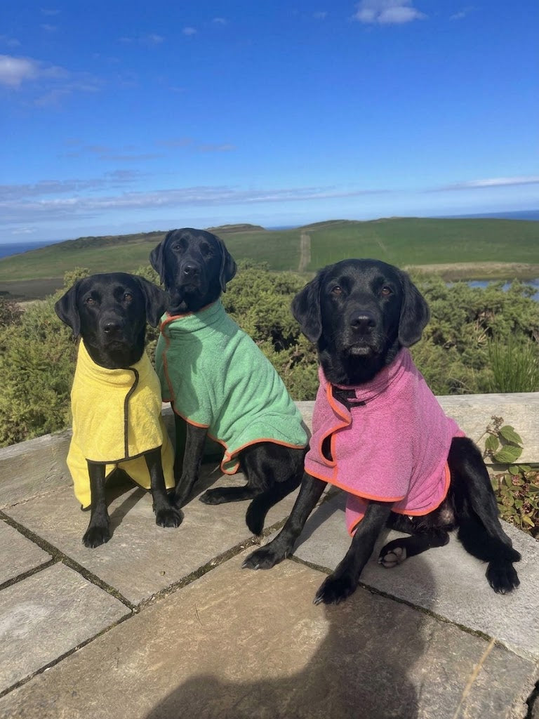 The Tailcroft Drying Robe — Wet Dog In, Dry Dog Out