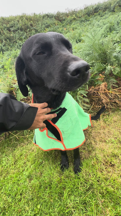 The Tailcroft Drying Robe — Wet Dog In, Dry Dog Out